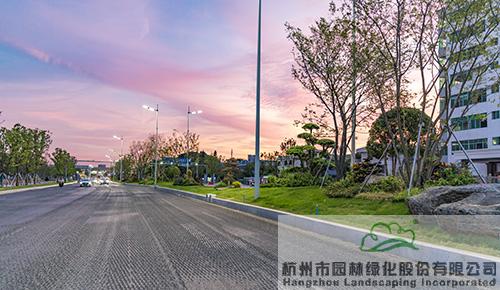 电竞比赛押注app