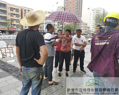 电竞比赛押注app