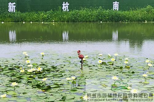 电竞比赛押注app