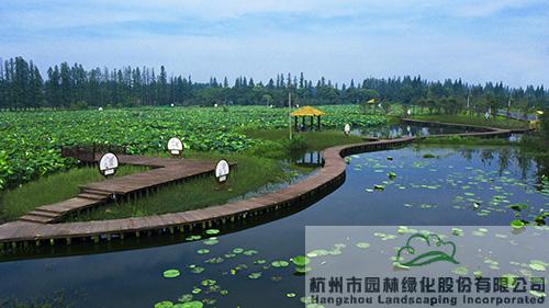 电竞比赛押注app