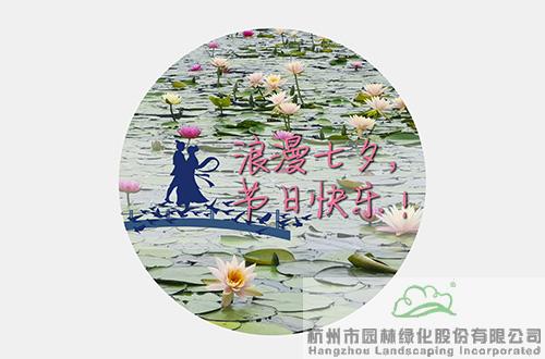 电竞比赛押注app