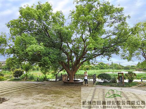 电竞比赛押注app