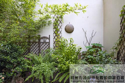 电竞比赛押注app