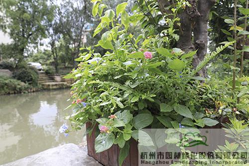 电竞比赛押注app