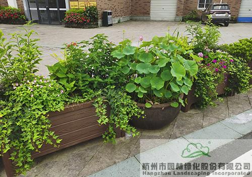 电竞比赛押注app