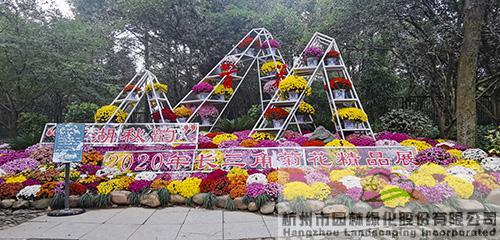 电竞比赛押注app