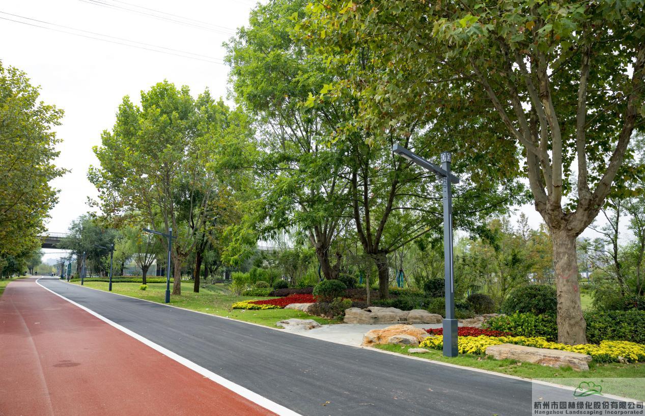 电竞比赛押注app