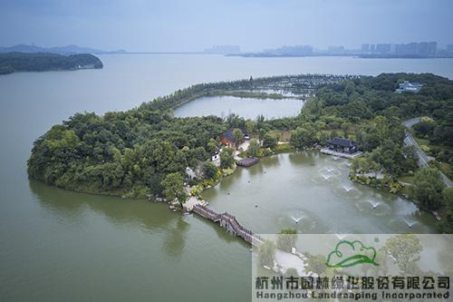 电竞比赛押注app