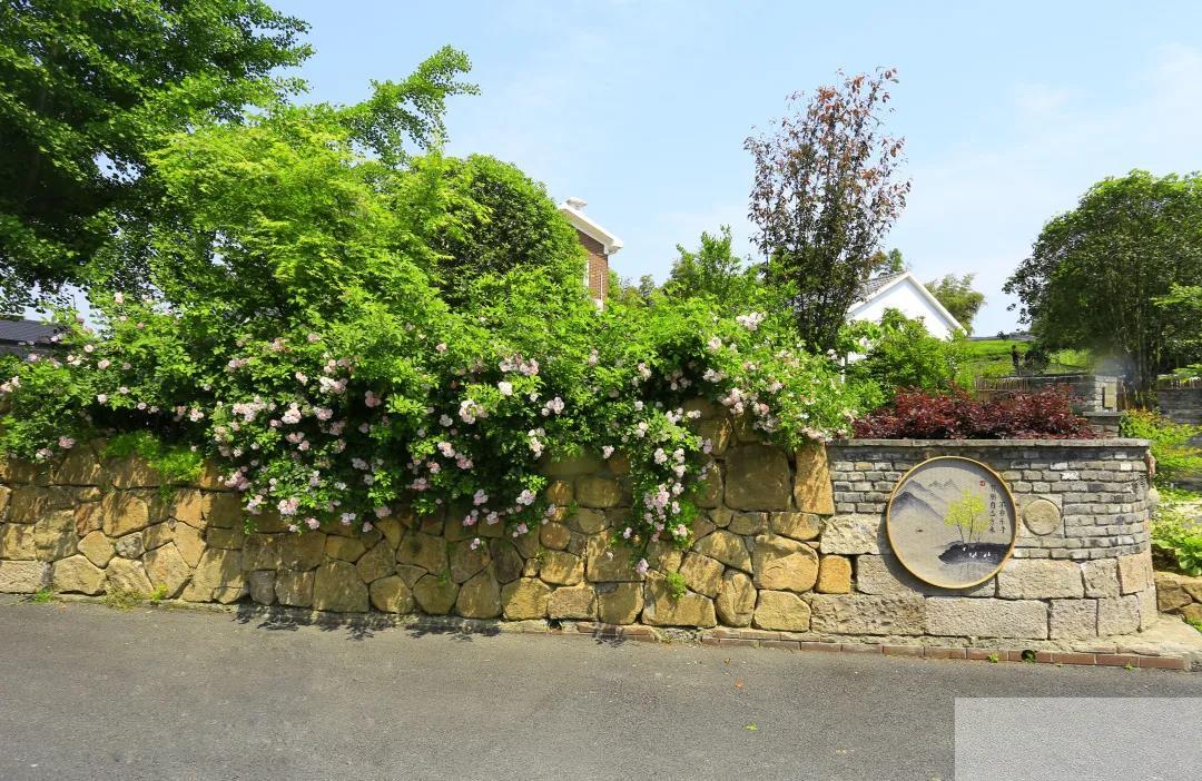 电竞比赛押注app