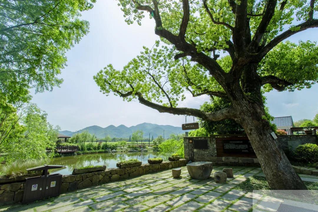 电竞比赛押注app