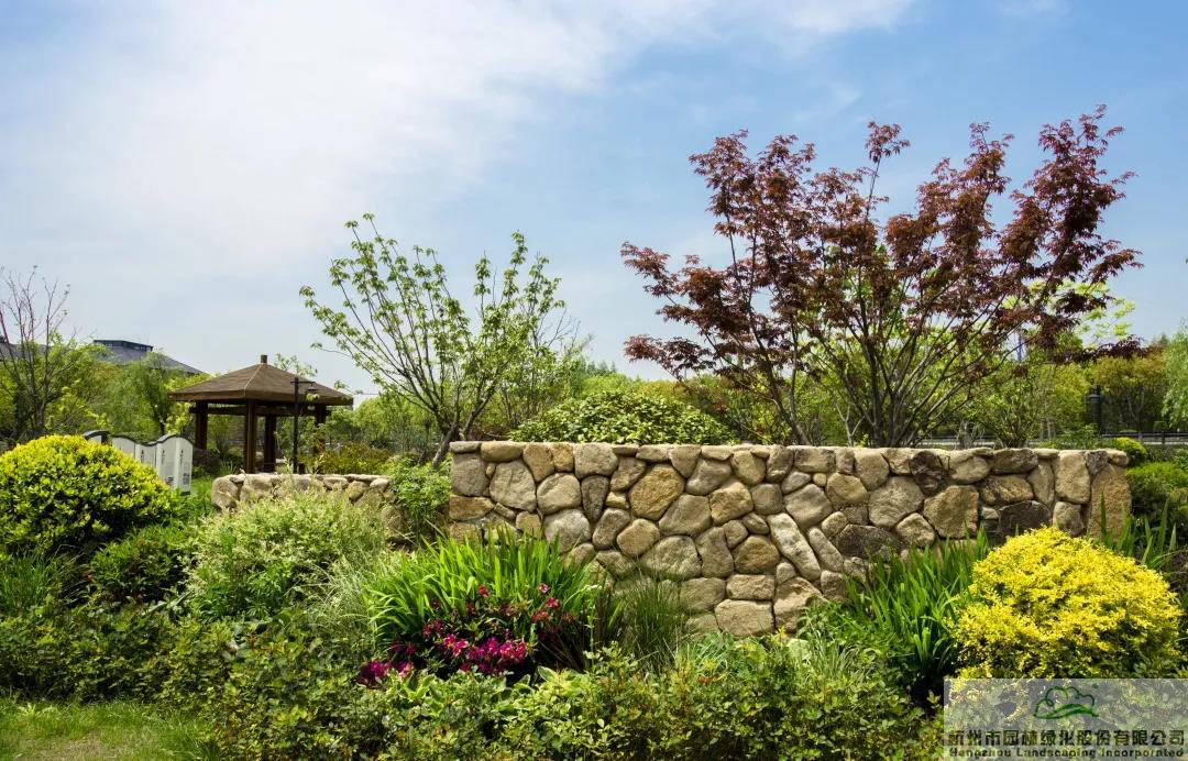 电竞比赛押注app