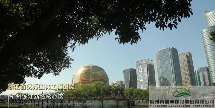 电竞比赛押注app