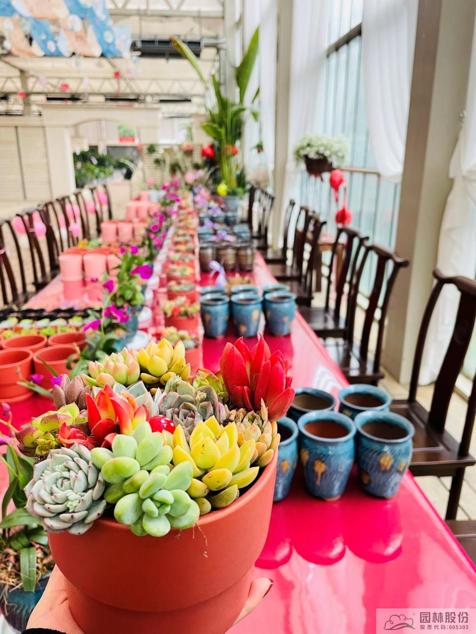 电竞比赛押注app