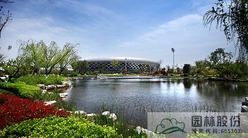 电竞比赛押注app