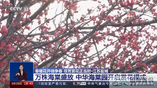 电竞比赛押注app