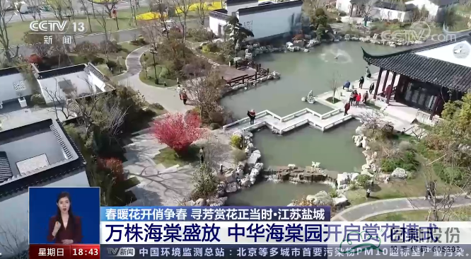 电竞比赛押注app