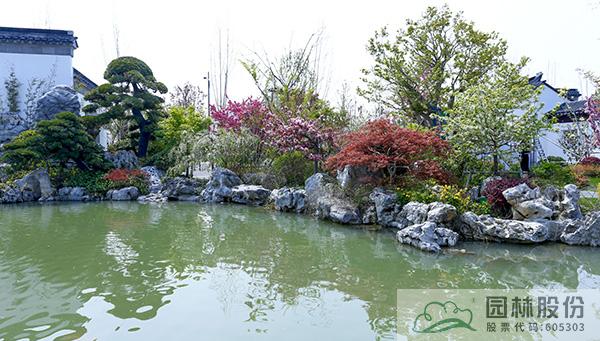 电竞比赛押注app