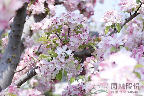 电竞比赛押注app