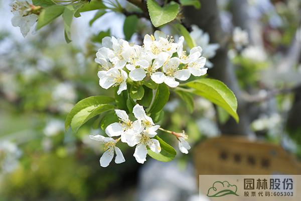 电竞比赛押注app