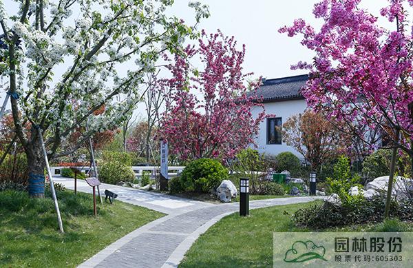 电竞比赛押注app