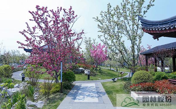 电竞比赛押注app