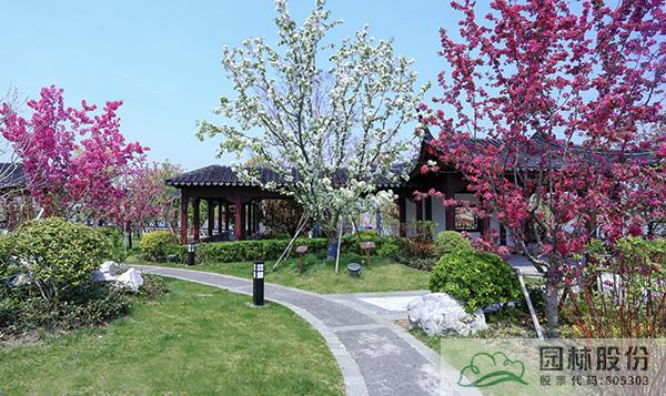 电竞比赛押注app