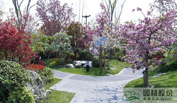 电竞比赛押注app