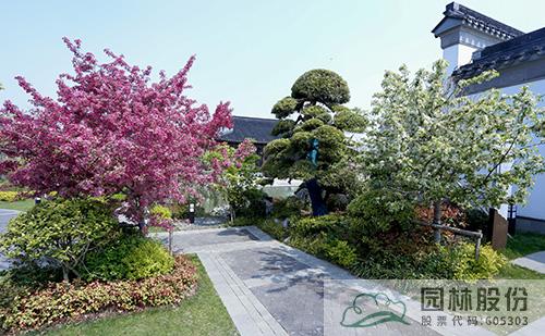 电竞比赛押注app