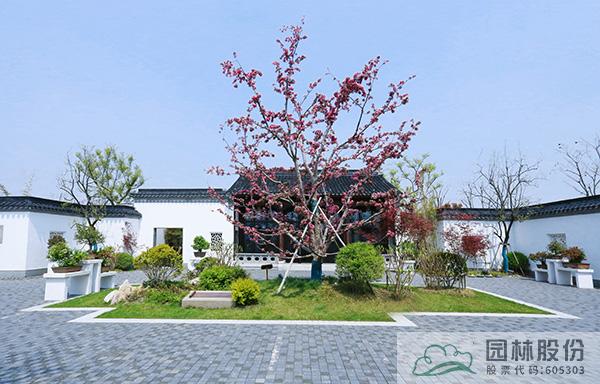 电竞比赛押注app