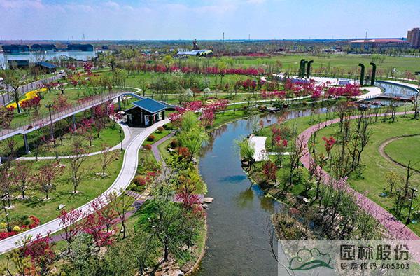 电竞比赛押注app