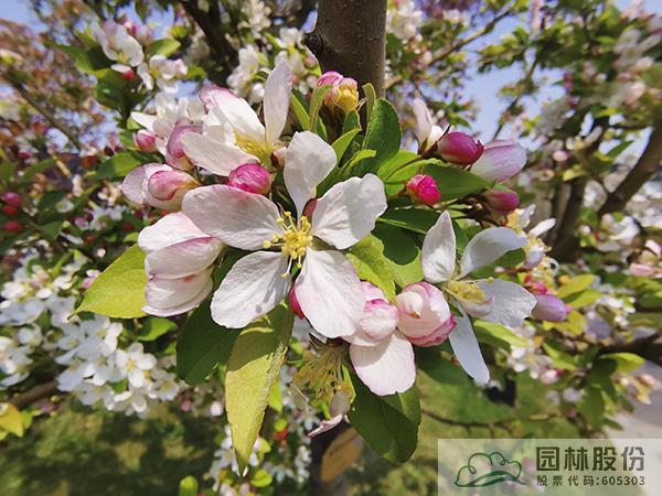 电竞比赛押注app