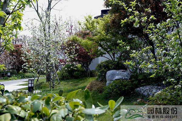 电竞比赛押注app