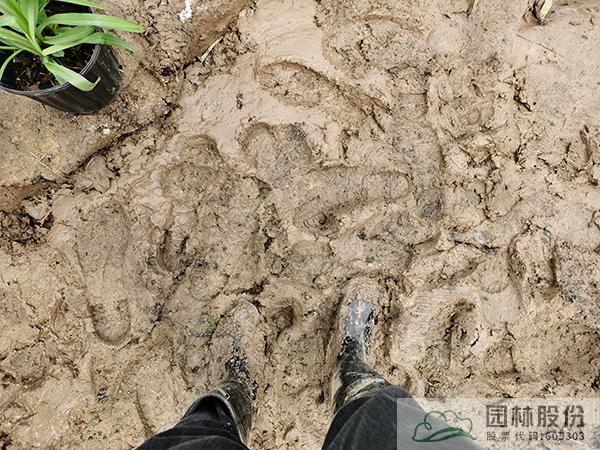 电竞比赛押注app