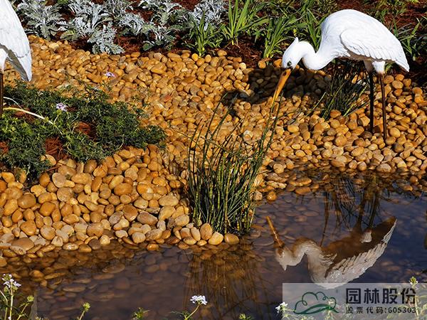 电竞比赛押注app