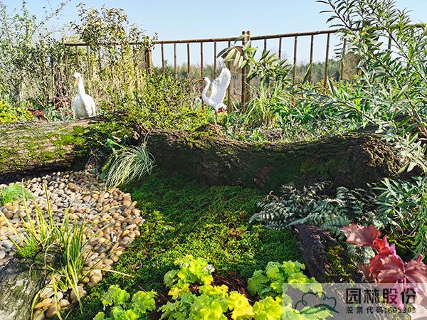 电竞比赛押注app