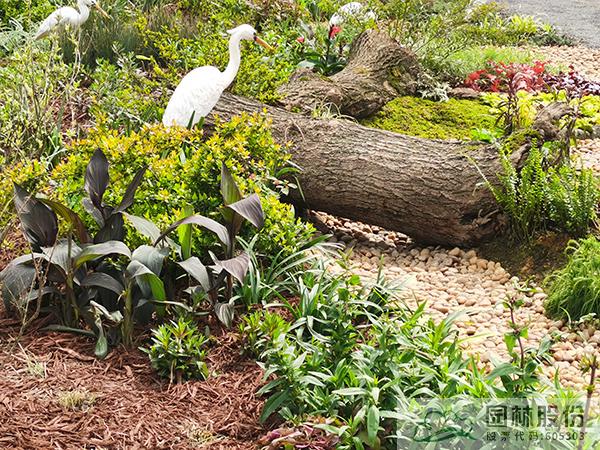 电竞比赛押注app