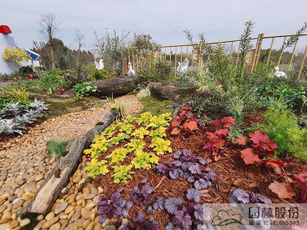 电竞比赛押注app