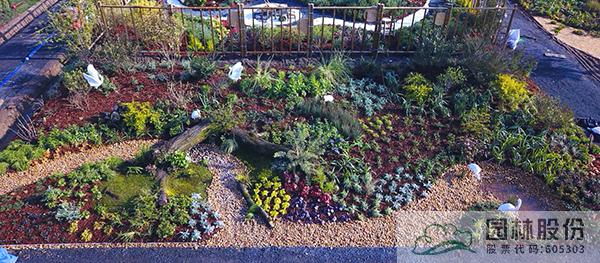 电竞比赛押注app