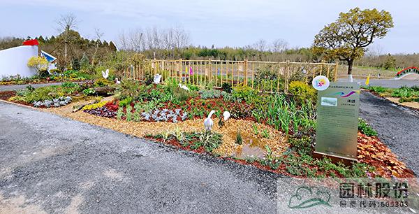 电竞比赛押注app