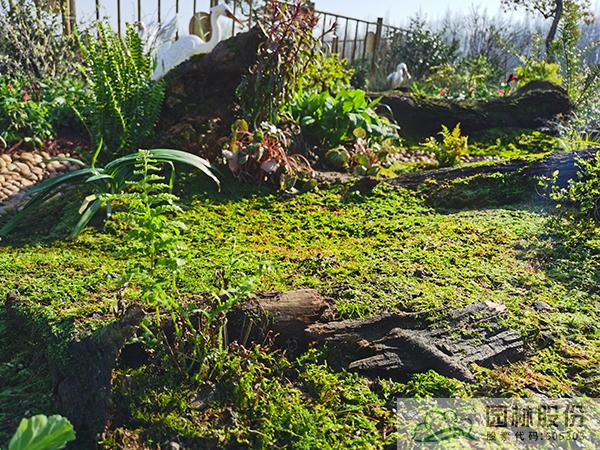 电竞比赛押注app