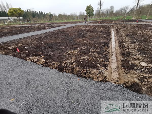 电竞比赛押注app