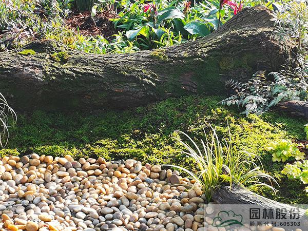 电竞比赛押注app