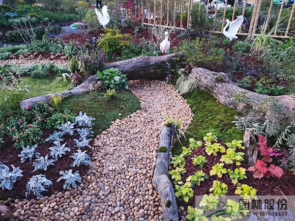 电竞比赛押注app