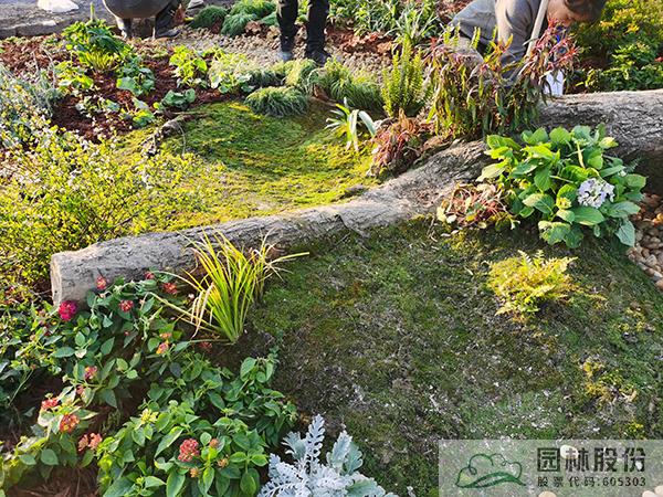 电竞比赛押注app