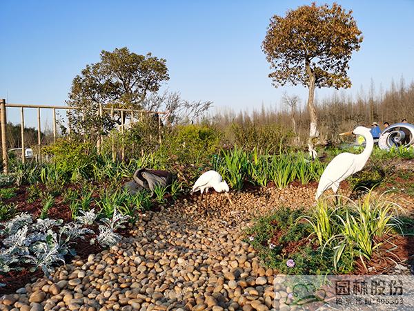 电竞比赛押注app