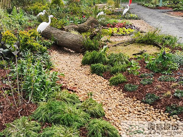 电竞比赛押注app