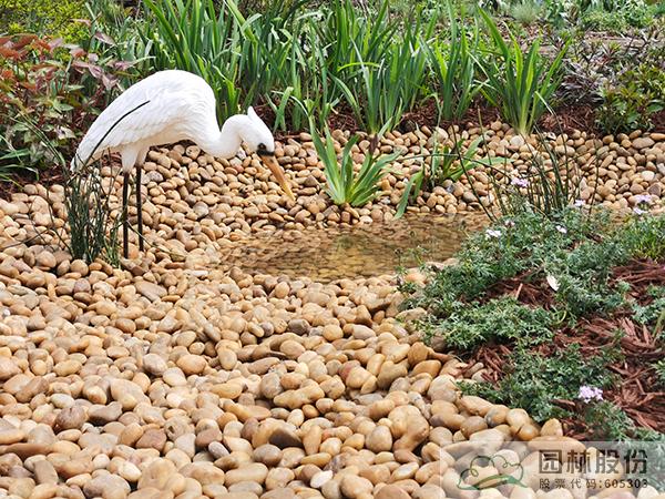 电竞比赛押注app