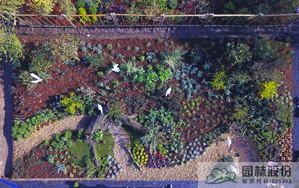 电竞比赛押注app