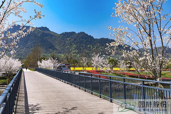 电竞比赛押注app