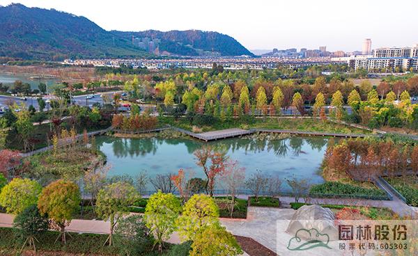 电竞比赛押注app